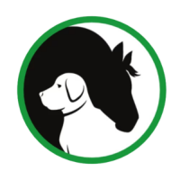 K9 Basics - Dog Training