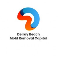 Delray Beach Mold dremoval Capital