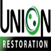 mold removal wpb