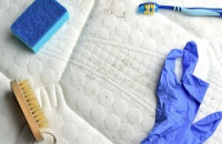 Homesteading Mold Inspection
