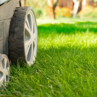 Apex Landscaping Inc