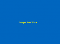 Tampa Roof Pros