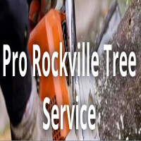Pro Tree Service