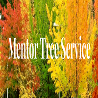 Mentor Tree Service