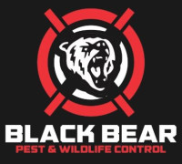 Black Bear Pest and Wildlife Control