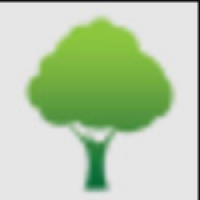Rapids Tree Service Pros