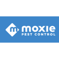 Moxie Services