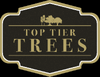 Top Tier Trees
