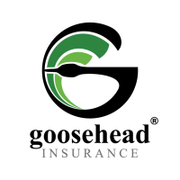 Goosehead Insurance - Collin Goslin & Trevor Goslin