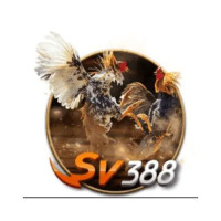 SV388 link - Đăng nhập SV388 trực tiếp mới nhất