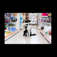 EVOLUTION DIET PROVEN BEST HEALTH - LONGEST LIFE PET FOODS