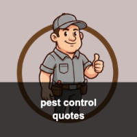 Ants & Rodents Pest Control Houston