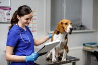 Port St. Lucie Mobile Vet
