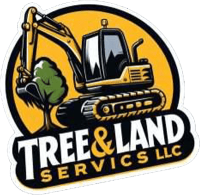Tree Stump Removal and Excavation