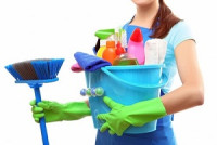 Sofa Cleaner