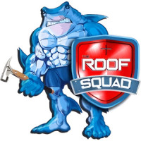 The Roof Squad
