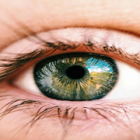 Eye Doctors Of Washington