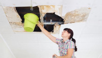 Ok Mold Remediation