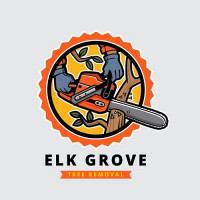 Elk Grove Tree Removal