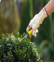 Landscaping Services