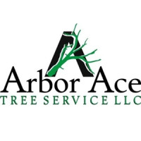 Arbor Ace Tree Service, LLC