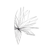 Gate Way Flora by Mortal Tree Design, LLC