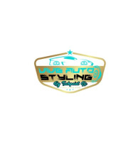 Vive Auto Styling exclusively by Techpoint LLC