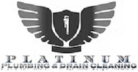 Platinum Plumbing and Drain Cleaning