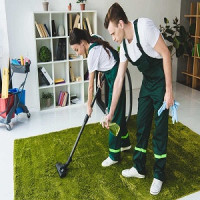 Lawson Rug Cleaning