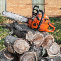 City Green Care Inc