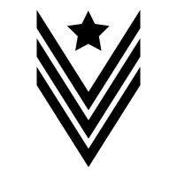 Vanguard Digital Marketing LLC