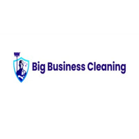 Big Business Cleaning