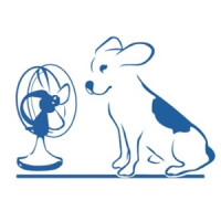 Blue Air LLC