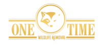 One Time Wildlife Removal and Pest Control