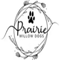 Prairie Willow Dogs