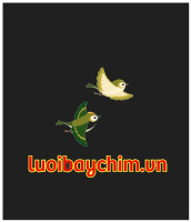 Luoibaychim Vn