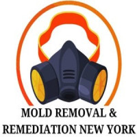 Mold Removal & Remediation New York - Bronx
