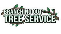 Anytown Tree Service & Removal Inc. Suffolk County
