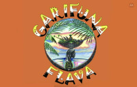 Garifuna Flava: A Taste of Belize | Jerk Chicken Chicago