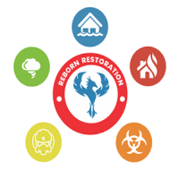 Reborn Restoration LLC