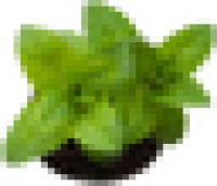 GrowScripts