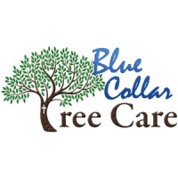 Blue Collar Tree Care