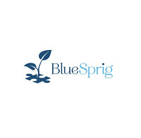 BlueSprig McAllen - ABA Therapy for Autism