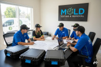 24/7 Mold inspection Los Angeles