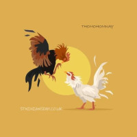 thomohomnaystnin