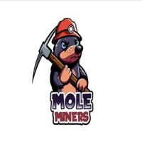 Mole Miners of Evansville