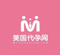 美国代孕网
