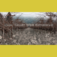 Napa Valley Wine Excursions