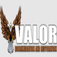 Valor Bioremediation and Restoration Inc.