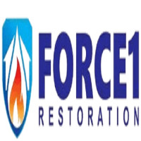 Force 1 Restoration Services